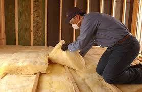 Best Wall Insulation Installation  in Countryside, VA