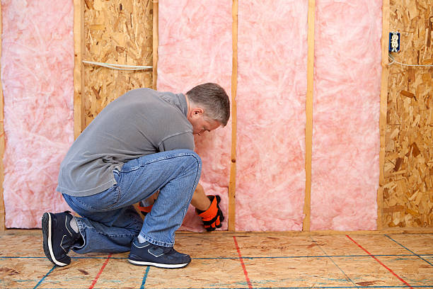 Best Insulation for New Construction  in Countryside, VA