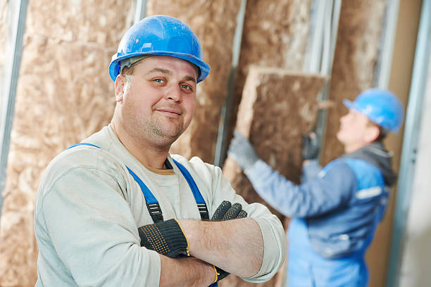 Best Crawl Space Insulation  in Countryside, VA